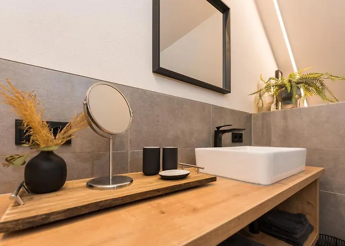 Schichlreit 애나버그임라메탈